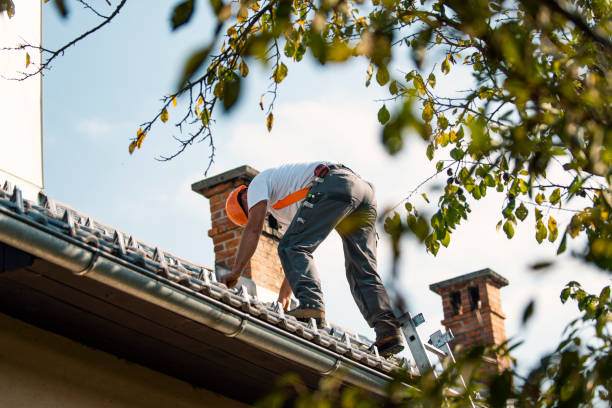 Best Storm Damage Roof Repair  in Marion, KY