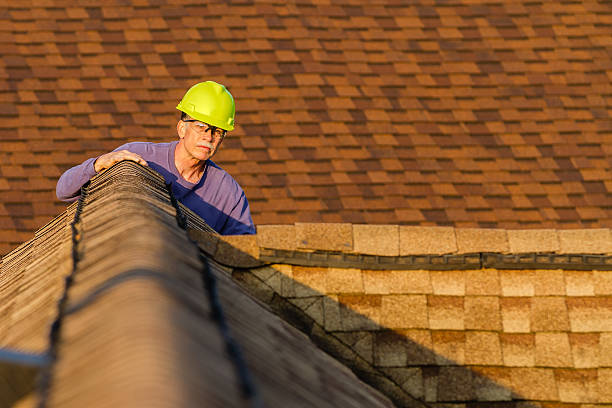 Best Roof Gutter Cleaning  in Marion, KY