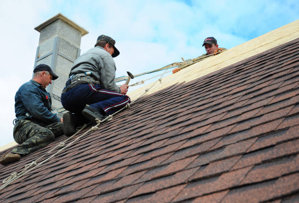 Best New Roof Installation  in Marion, KY